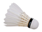 Shuttlecock PNG