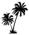 Silhouette Coconut Tree