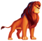 Simba PNG Image