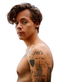 Singer Harry Styles PNG