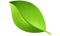 Single Plant Leaf PNG Clipart