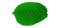 Single Plant Leaf PNG Picture