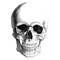 Skeleton Head