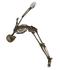 Skeleton PNG Image