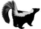 Skunk PNG Picture