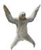 Sloth PNG