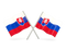 Slovakia Flag PNG Picture