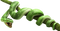 Snake High-Quality PNG