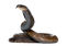 Snake PNG HD