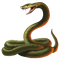 Snake Transparent