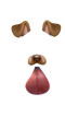 Snapchat Filters PNG File