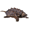 Snapping Turtle PNG