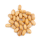 Soybean PNG File