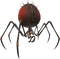 Spider Transparent