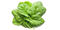 Spinach PNG Clipart