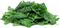 Spinach PNG File Download Free