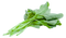 Spinach PNG File