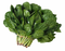 Spinach PNG Free Download