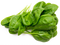 Spinach PNG Free Image