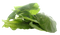 Spinach PNG HD Image