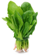 Spinach Transparent