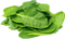 Spinach