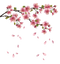 Spring Free PNG Image