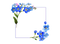 Square Flower Frame PNG Image