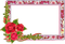 Square Flower Frame PNG