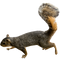 Squirrel PNG Picture