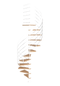 Stairs PNG Clipart