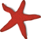 Starfish PNG File