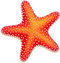 Starfish