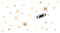 Stars PNG Picture