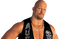 Steve Austin PNG Image