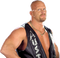 Steve Austin