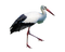 Stork PNG Free Image