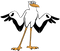 Stork PNG Picture