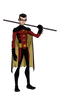 Superhero Robin Free PNG Image