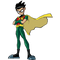 Superhero Robin PNG Image