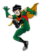 Superhero Robin PNG Picture