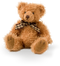 Teddy Bear PNG File