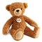 Teddy Bear PNG Image