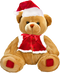 Teddy Bear PNG