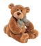 Teddy Bear Transparent