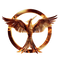 The Hunger Games PNG File