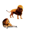 The Lion King PNG Clipart