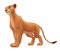 The Lion King PNG Free Download