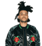 The Weeknd Hairstyle PNG Free Image