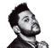 The Weeknd Hairstyle PNG HD Image